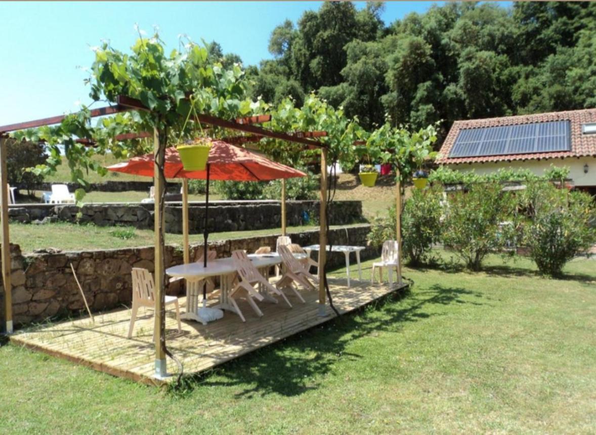 Gites Carbuccia En Corse Avec Piscine Chauffee Dış mekan fotoğraf