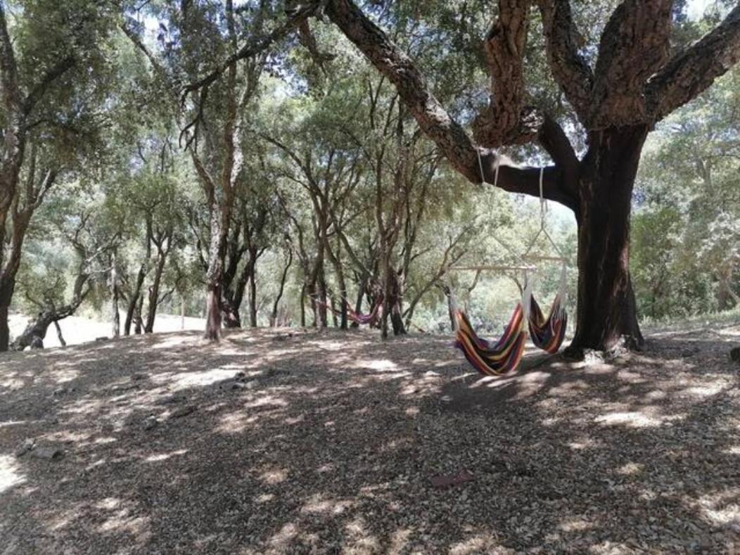 Gites Carbuccia En Corse Avec Piscine Chauffee Dış mekan fotoğraf