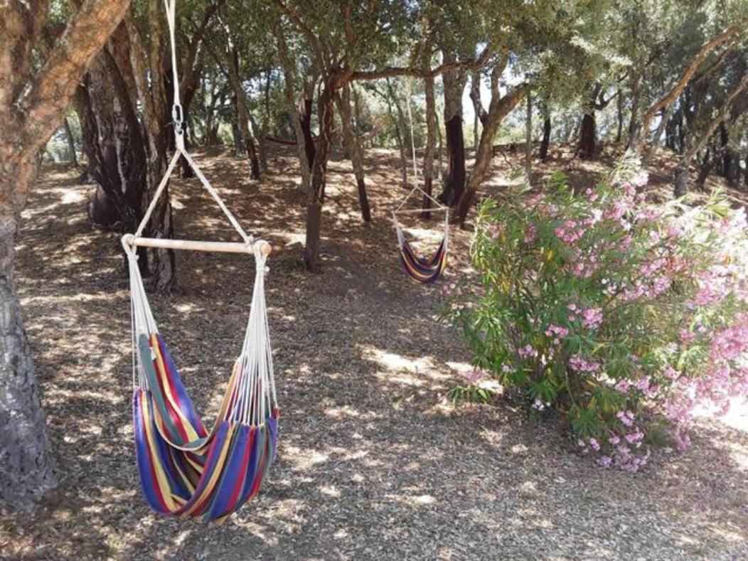 Gites Carbuccia En Corse Avec Piscine Chauffee Dış mekan fotoğraf